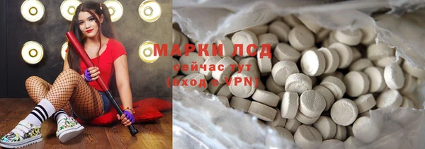 прущие грибы Каменск-Шахтинский