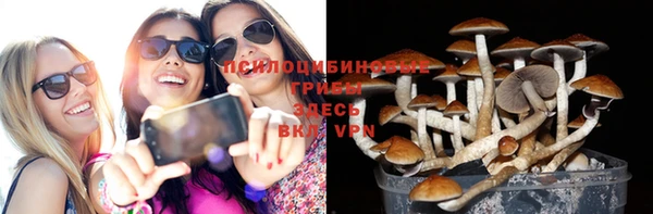 не бодяженный Каменка