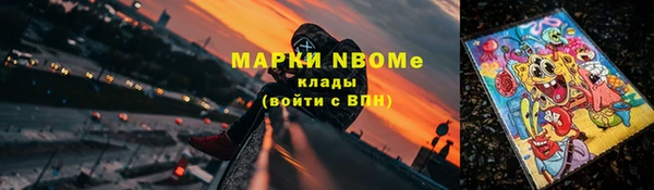 прущие грибы Каменск-Шахтинский
