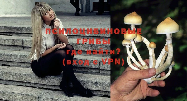 прущие грибы Каменск-Шахтинский