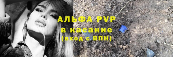 прущие грибы Каменск-Шахтинский