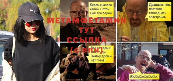 прущие грибы Каменск-Шахтинский