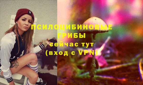не бодяженный Каменка