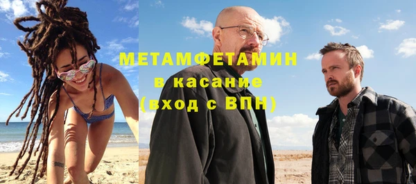 прущие грибы Каменск-Шахтинский