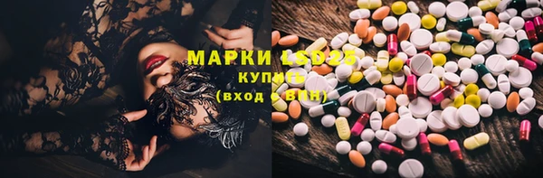 прущие грибы Каменск-Шахтинский